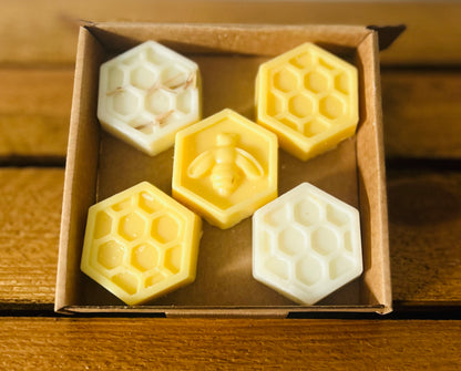 Citronella & Lemongrass Summer Gift Set