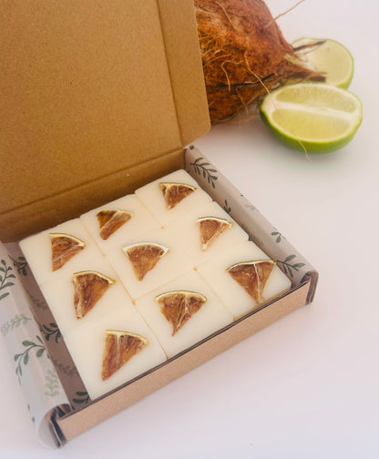 Coconut Lime Retreat Soy Wax Melts | Tropical Bliss | Handmade by The Aroma Lodge