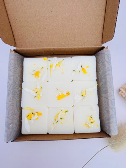Amber Shores Soy Wax Melt – Exotic Coconut Jasmine Blend | Vegan & Eco-Friendly