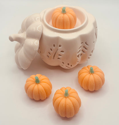 Limited Edition Pumpkin Patch Soy Wax Melts – Autumn Cinnamon, Apple & Vanilla | The Aroma Lodge