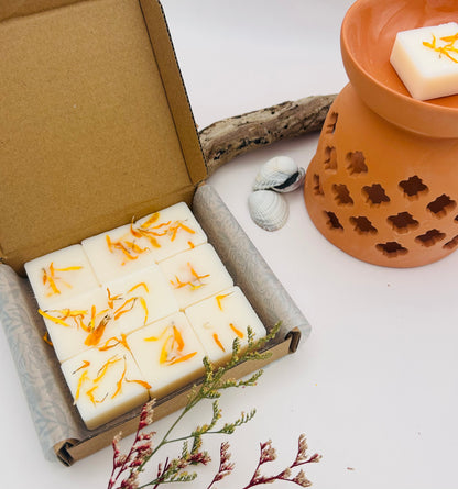 Sunlit Cove Soy Wax Melts | Handmade Coastal Soy Wax Melts – The Aroma Lodge