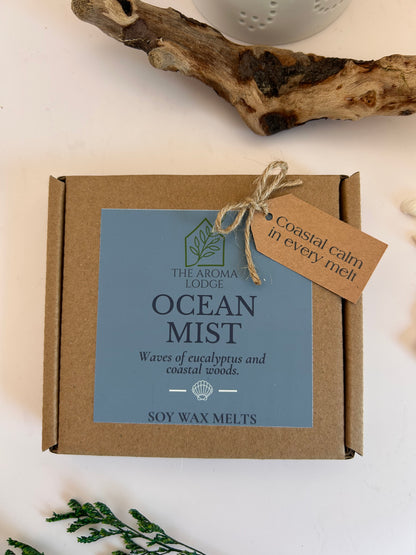 Sea Salt & Timber Soy Wax Melts | Fresh Coastal Scent | Handmade on the Isle of Wight