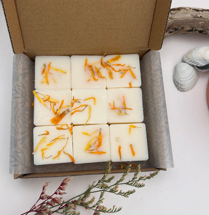 Sunlit Cove Soy Wax Melts | Handmade Coastal Soy Wax Melts – The Aroma Lodge