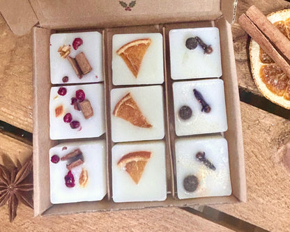 Scents of Christmas Wax Melt Gift Box