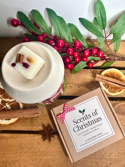 Candle with berries and cinnamon sticks on a wooden surface, featuring 'Scents of Christmas' packaging.