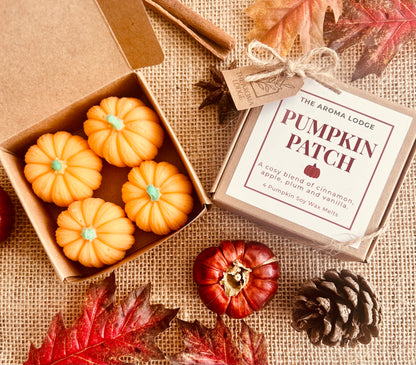 Limited Edition Pumpkin Patch Soy Wax Melts – Autumn Cinnamon, Apple & Vanilla | The Aroma Lodge