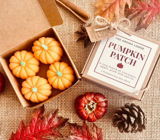 Limited Edition Pumpkin Patch Soy Wax Melts – Autumn Cinnamon, Apple & Vanilla | The Aroma Lodge