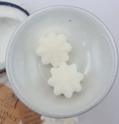 Coconut Lime Retreat Soy Wax Melts | Tropical Bliss | Handmade by The Aroma Lodge