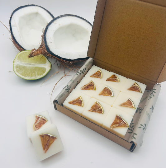 Coconut Lime Retreat Soy Wax Melts | Tropical Bliss | Handmade by The Aroma Lodge
