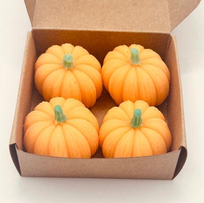 Limited Edition Pumpkin Patch Soy Wax Melts – Autumn Cinnamon, Apple & Vanilla | The Aroma Lodge